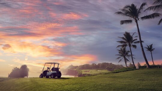 Gold Cart Accidents - Brian Sebaaly Law