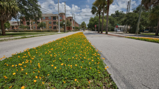 Florida Drivers Rights - Brian Sebaaly Law