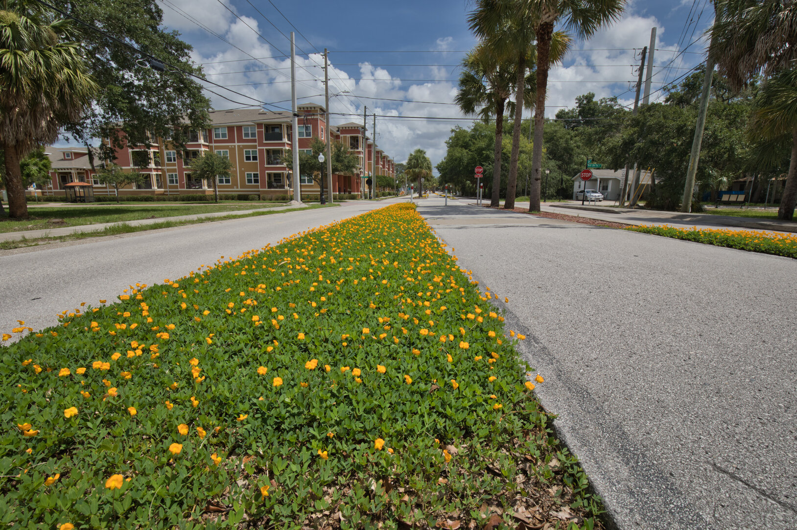 Florida Drivers Rights - Brian Sebaaly Law